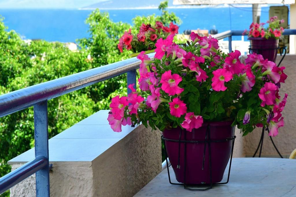 Villa Eva Tolón Dış mekan fotoğraf